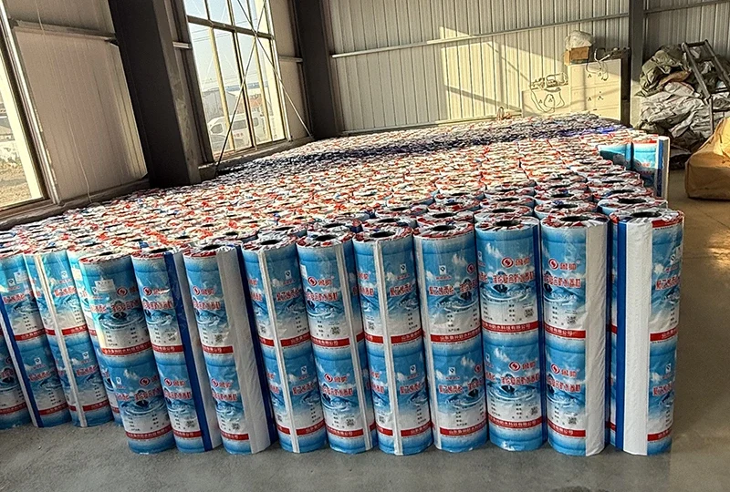 Equipo de línea de producción de membrana de polietileno de polietileno